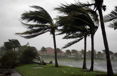 The tress are blowing during a hurricane - Manning Insurance Services.